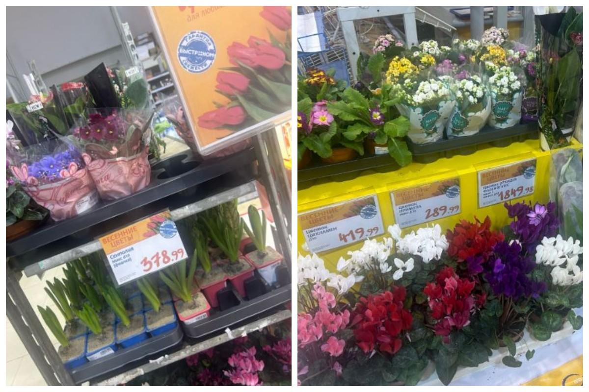 Фото Где купить самые дешёвые цветы в Новосибирске к 8 Марта – обзор цен 9